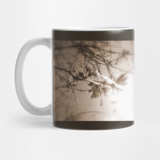 cherry blossoms in the sun, sepia Mug